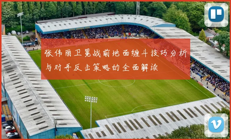 张伟丽卫冕战前地面缠斗技巧分析与对手反击策略的全面解读
