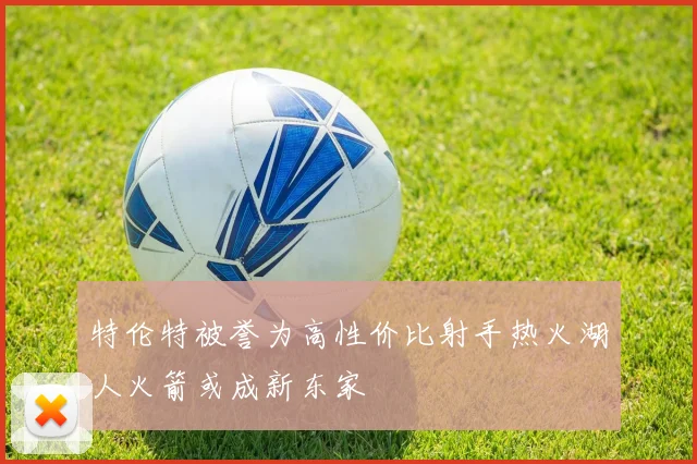 特伦特被誉为高性价比射手热火湖人火箭或成新东家